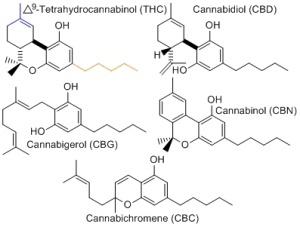 cannabinoides